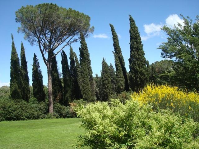 Гостевой дом Al Giardino Degli Etruschi Чиуси Номер фото